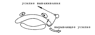 Вырывающее усилие при ловле на жесткую оснастку